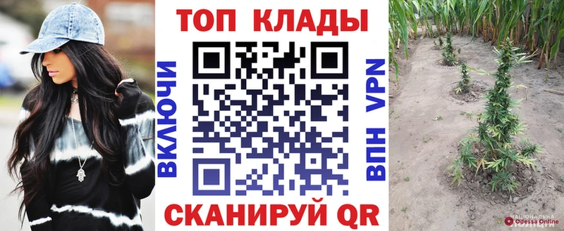 Виды наркотиков купить Дмитриев ГАШ OMG зеркало COCAIN Меф мяу мяу Каннабис