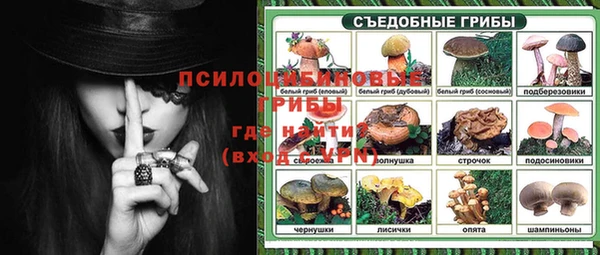 стафф Михайловка