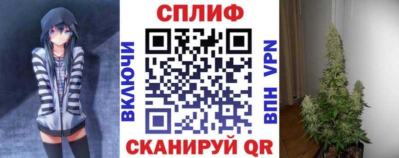 Бошки марихуана OG Kush наркошоп mega зеркало Дмитриев